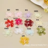 Versión coreana hecho a mano DIY color flores pequeñas textiles para el hogar tocado artesanía accesorios decorativos hexagonal con cuentas ciruela pequeña details Picture